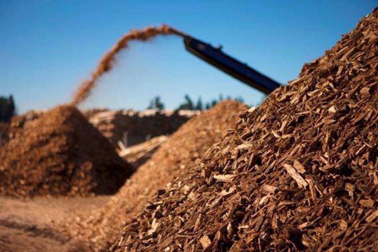 El CSIC desarrolla un proyecto para producir plásticos a partir del fraccionamiento de biomasa