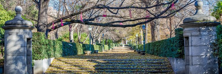 El Real Jardín Botánico presenta la serie ‘José Mariano Mociño. Asombro del nuevo mundo’