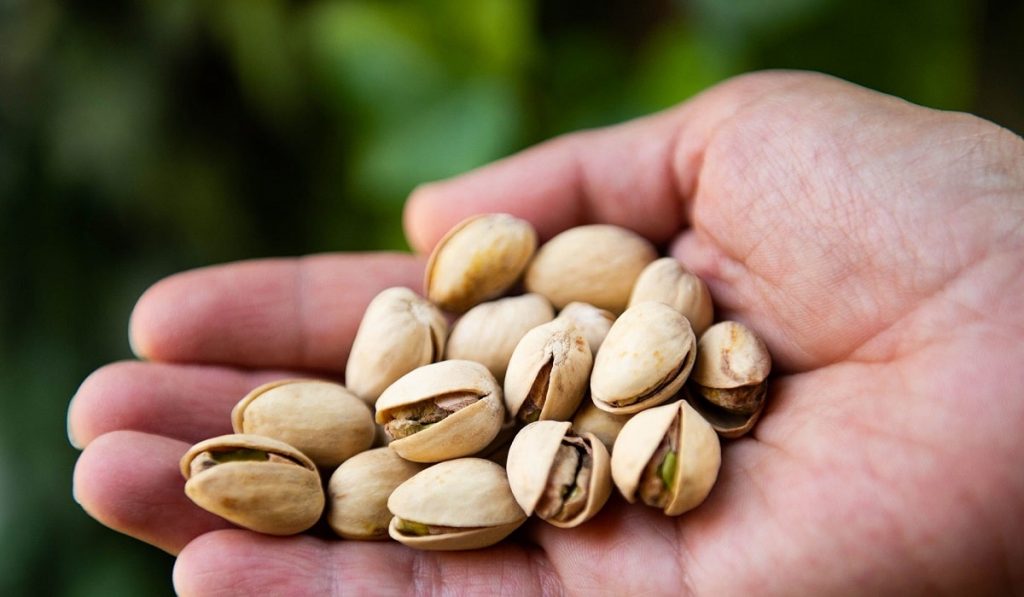 El Motivo Por El Que No Debes Tirar Las Cáscaras De Pistacho
