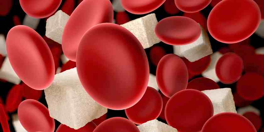Niveles Altos Y Bajos De Azúcar En Sangre
