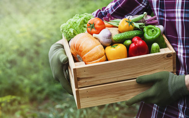 Fruta Y Verdura