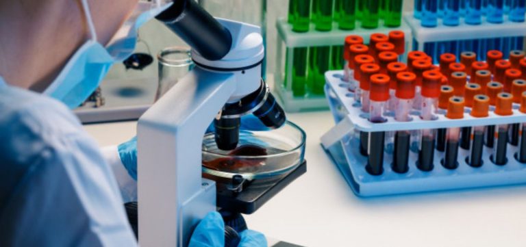 Moderna y Metagenomi desarrollarán conjuntamente terapias de edición de genes ‘in vivo’ de próxima generación