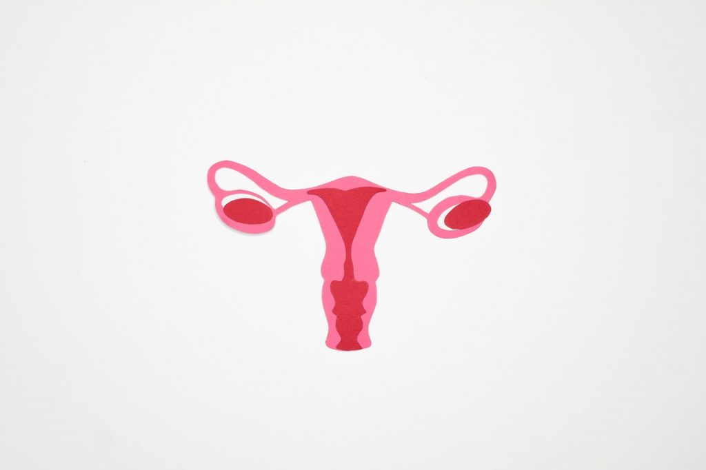 Qué Es El Essure 1 ¿Qué Es Essure?