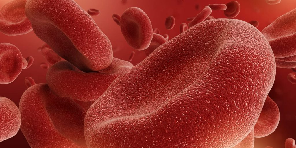 ¿Qué Es El Hematocrito?