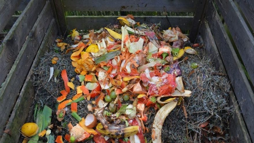 ¿Qué Es La Basura Orgánica?