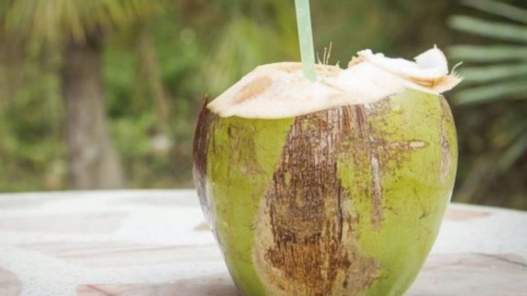 ¿Qué Es El Agua De Coco?