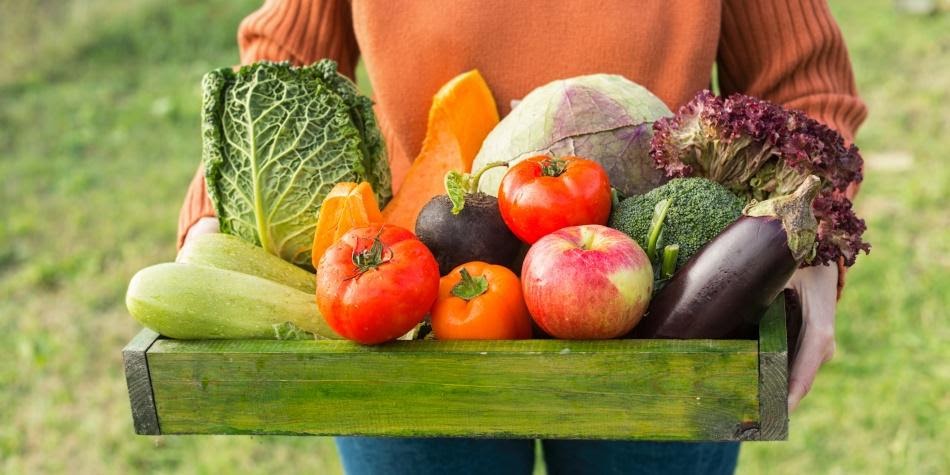 ¿Qué son los alimentos orgánicos?