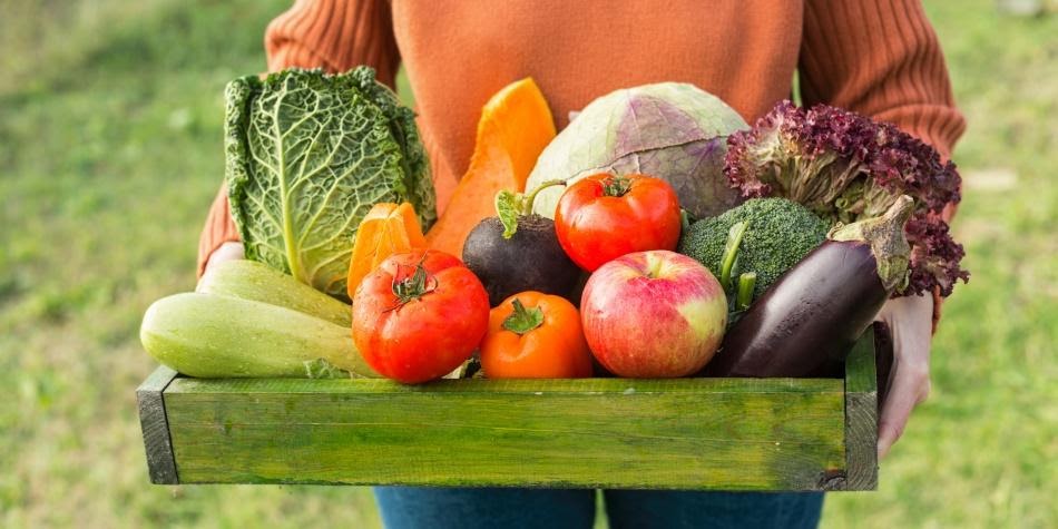 ¿Qué Son Los Alimentos Orgánicos?