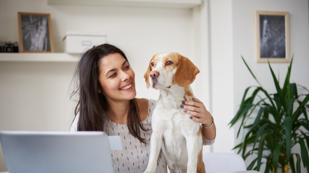 Se puede tener una mascota teniendo alergia