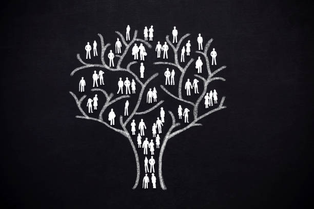 Las mejores ideas para hacer un árbol genealógico
