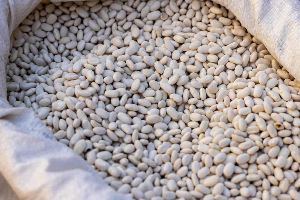 Las Alubias Son Fuente De Minerales  Y  Vitaminas