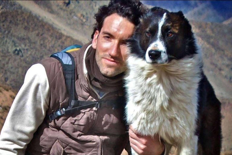 Educación canina con PERROBUENO, la guardería de día para perros