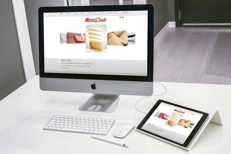 Webservi brinda servicios de diseño web profesional