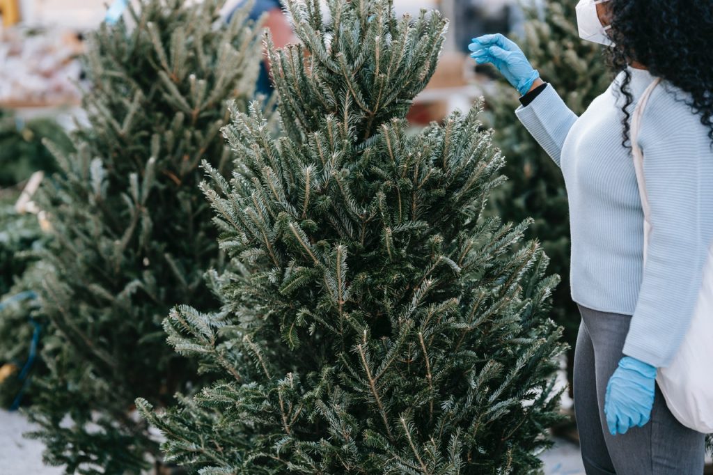 Los Mercadillos De Navidad Más Desconocidos De Madrid