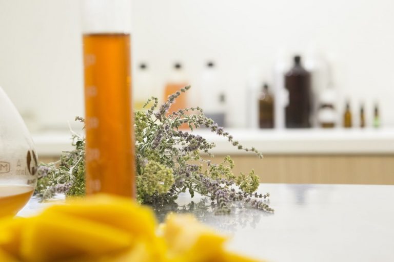 El crecimiento del mercado de productos naturales, una excelente apuesta de futuro