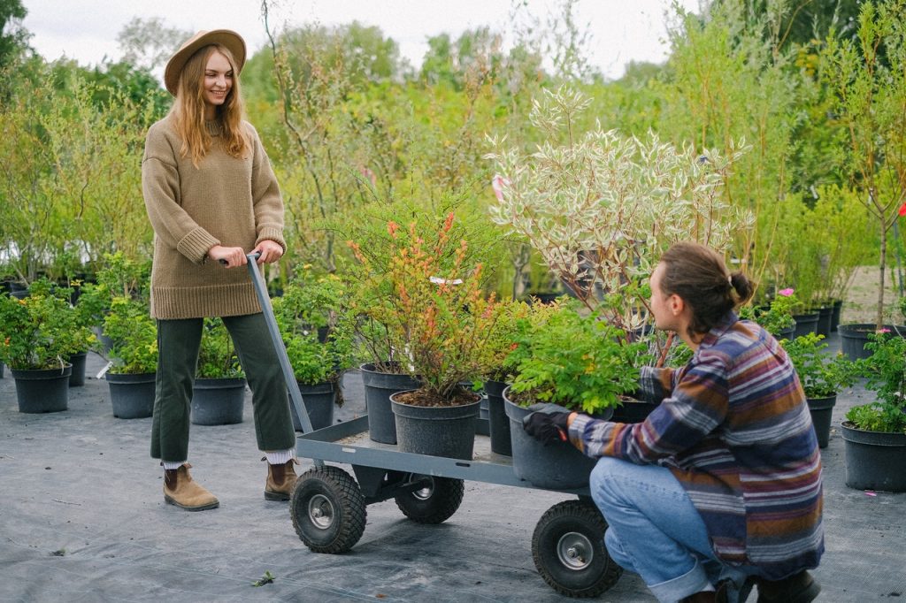 Trucos Para Que Las Plantas No Se Mueran Con Las Heladas