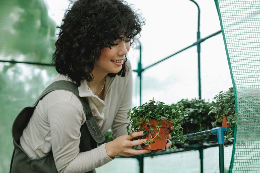 Trucos Para Que Las Plantas No Se Mueran Con Las Heladas