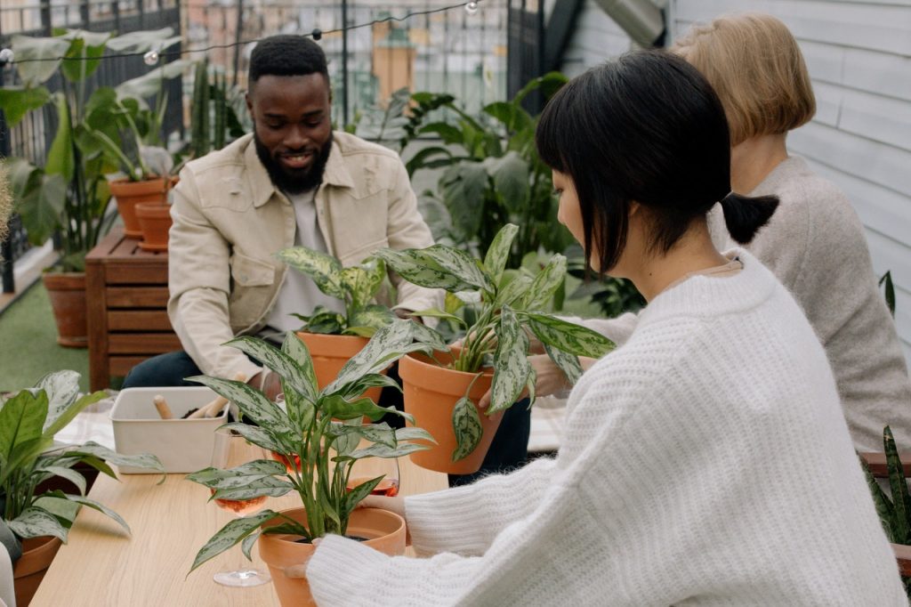 Trucos Para Que Las Plantas No Se Mueran Con Las Heladas
