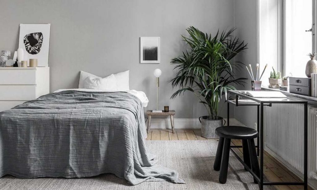 Plantas De Interior Que Te Ayudan A Dormir Mejor