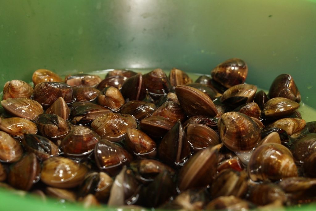 Almejas A La Marinera: La Receta Tradicional De Arguiñano Que Gusta A Todos