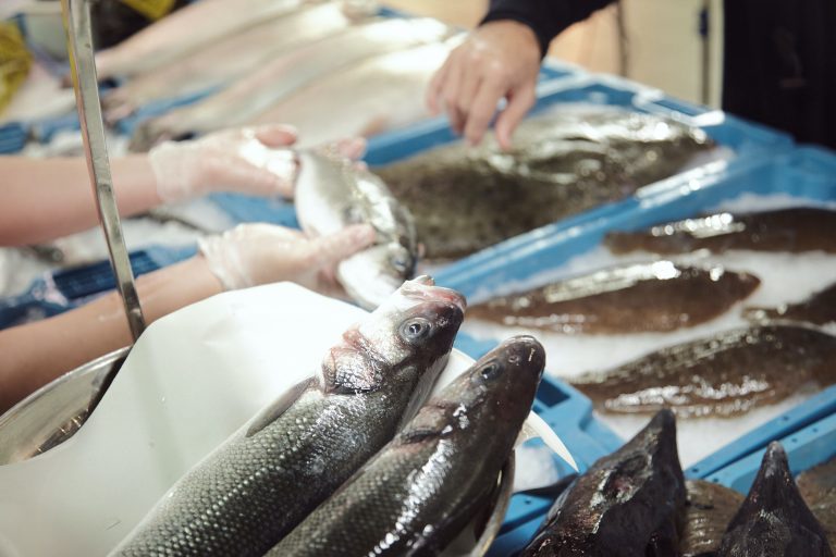 Subida sin precedentes de los costes de producción: la acuicultura española en peligro