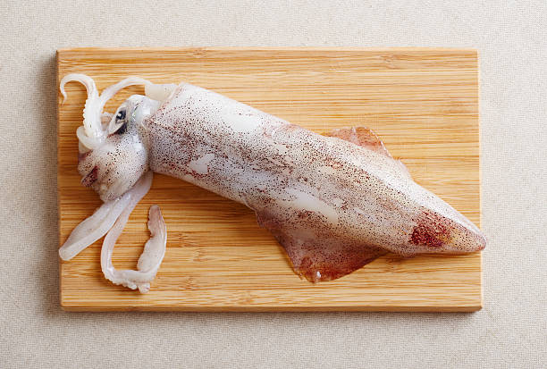 Paso A Paso Para Hacer La Limpieza De Los Calamares