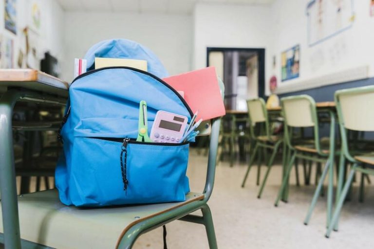Andalucía dice que caza «está perfectamente regulada» en currículo