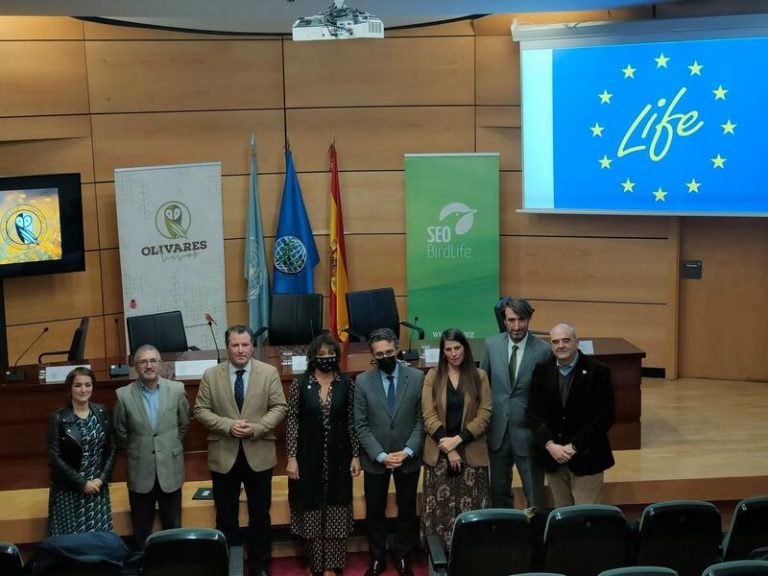 El nuevo proyecto ‘LIFE Olivares Vivos+’ busca replicar este modelo de olivicultura por regiones olivareras de la UE