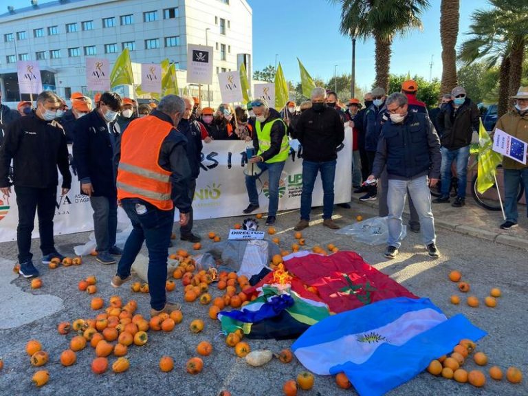 Una marcha de tractores protesta por «la escalada histórica de costes» en la agricultura en Valencia