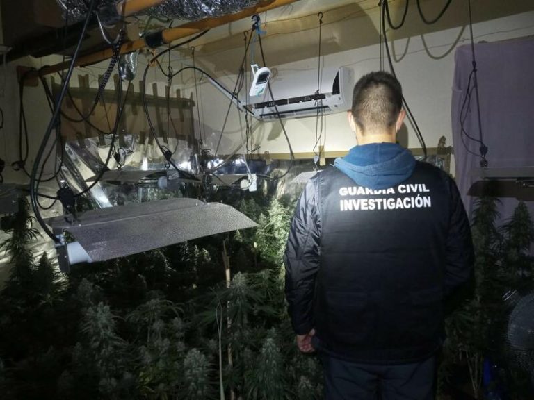 Desarticulan 4 centros de producción de marihuana en Loja y Peligros