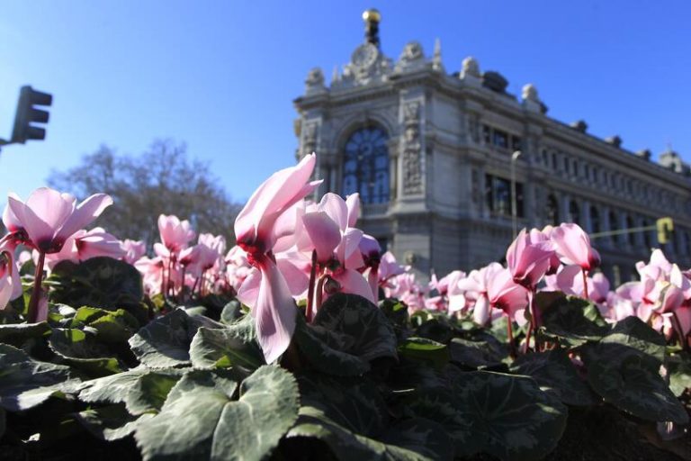 12 bancos pierden dinero en España hasta septiembre