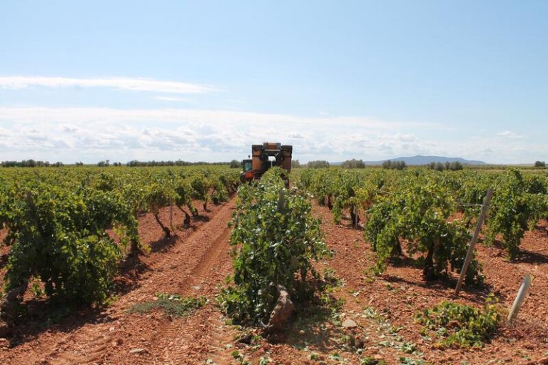 Asaja pide al Gobierno que vele por el cumplimiento de la Ley de la cadena alimentaria