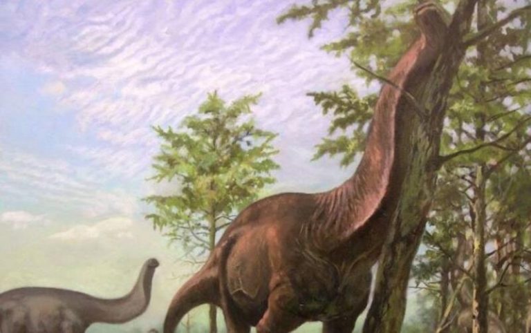 Los dinosaurios surópodos quedaron restringidos a regiones cálidas