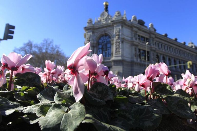 El Banco de España alerta de que los sectores mejor posicionados de cara al futuro tienen poco peso en el PIB