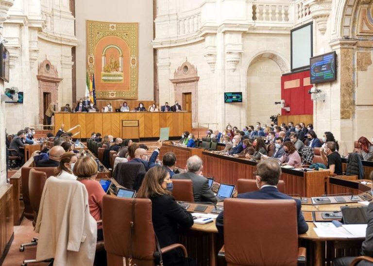 Vox se suma a PSOE y Podemos en el rechazo a pedir al Gobierno central más dotación en infraestructuras andaluzas