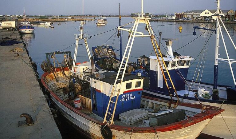 Andalucía solicita prorrogar en 2022 las ayudas Covid de la UE para la agricultura y la pesca