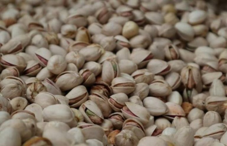El cultivo de pistacho, el almendro y el nogal continúa su expansión productiva en España
