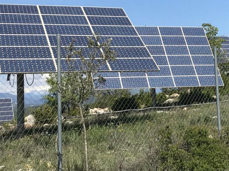 El Gobierno lanza una tercera subasta de renovables para abril