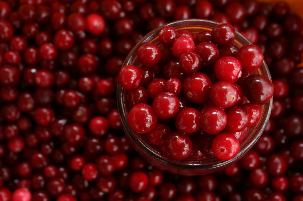 Arándanos Perder Peso Frutas