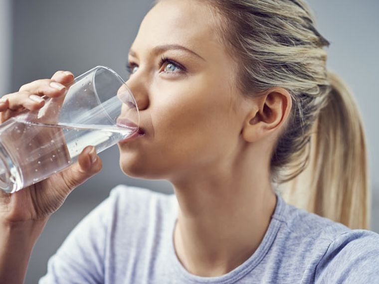 ¿El Beber Agua Durante Las Comidas Dependerá De La Necesidad Del Organismo?