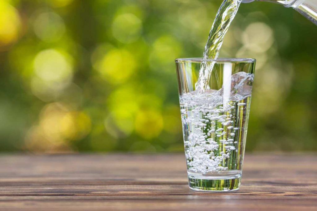 ¿Se Puede Incorporar El Agua En Las Comidas De Otras Formas?