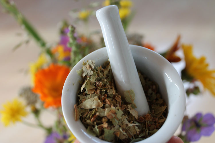 ¿Cuáles Son Los Usos En La Cocina De Esta Planta?