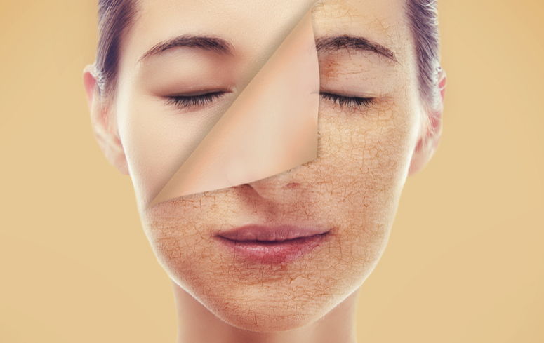 ¿Cuáles Son Las Funciones De La Vitamina C?