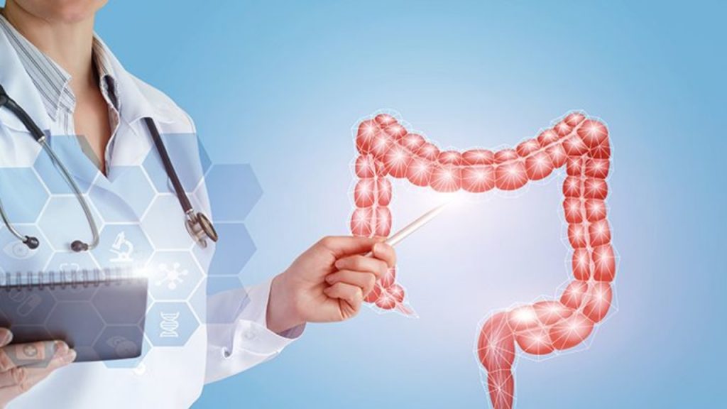 Para Una Alimentación Saludable Para El Intestino