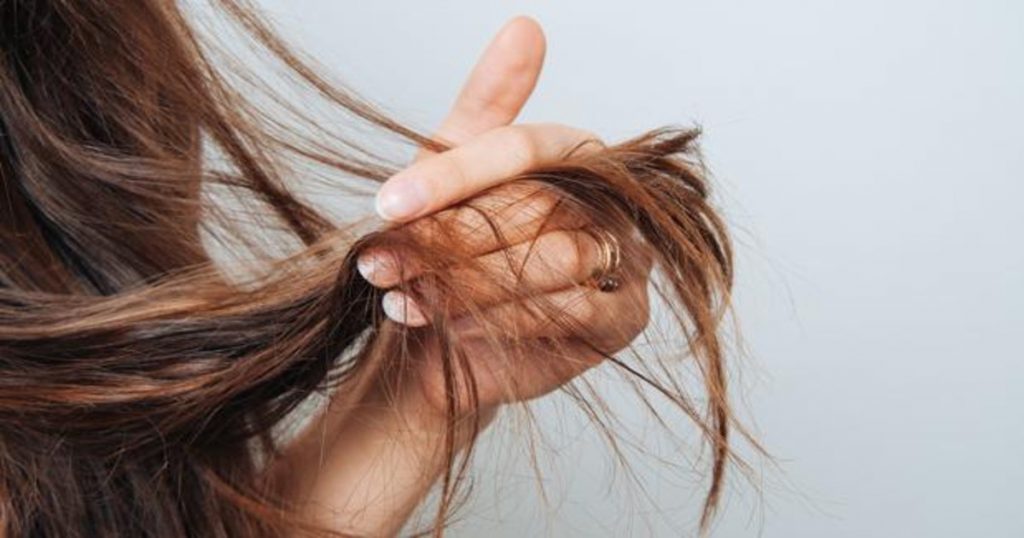 ¿Qué Es El Pelo?