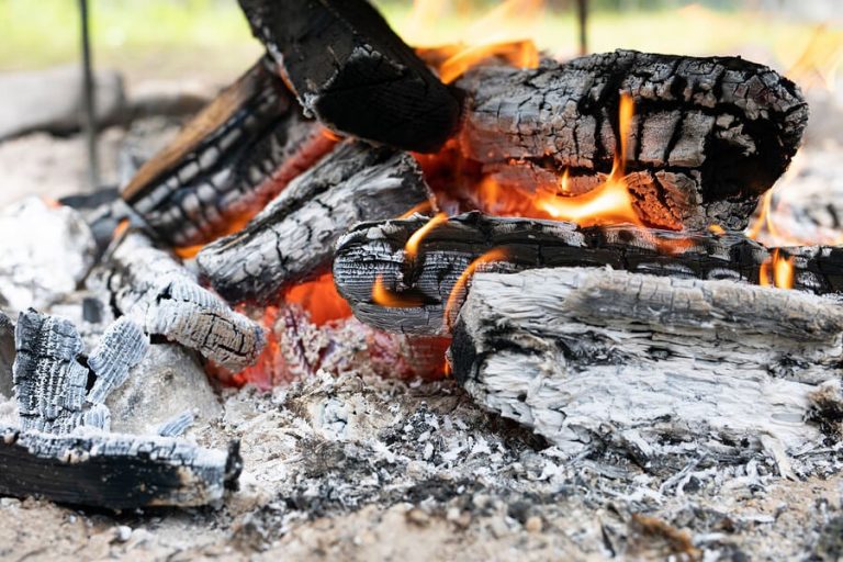 Estos son los usos que puedes darle a las cenizas de la chimenea