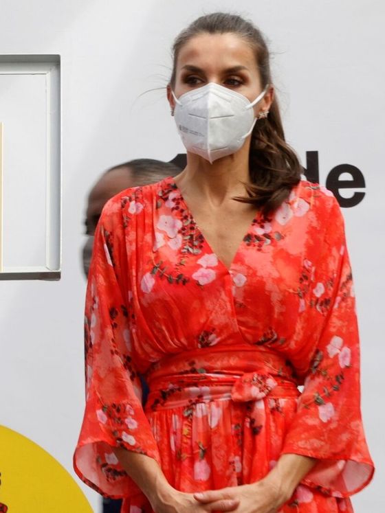 Había Un Problema Con El Vestido De La Reina Letizia