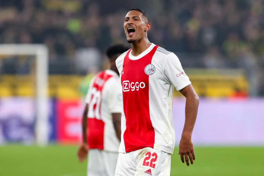 Haller 5