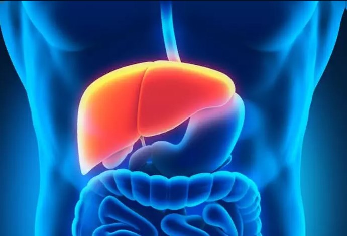 ¿Y Las Causas Endocrinas?