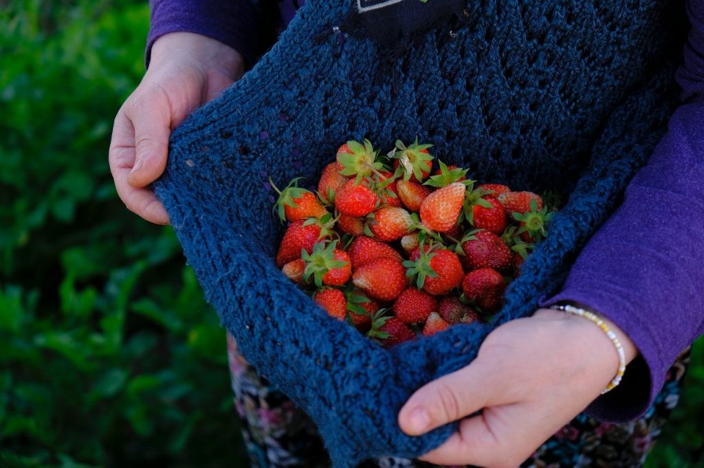 Ingredientes Que Necesitas Para La Salsa De Frutos Rojos